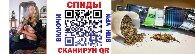 БУТИРАТ BDO 33%  Купить где  Нестеров 
