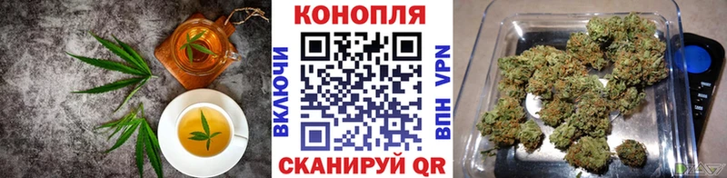 Купить  Нестеров  Cannafood конопля 