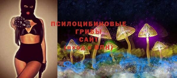 кокс Инсар