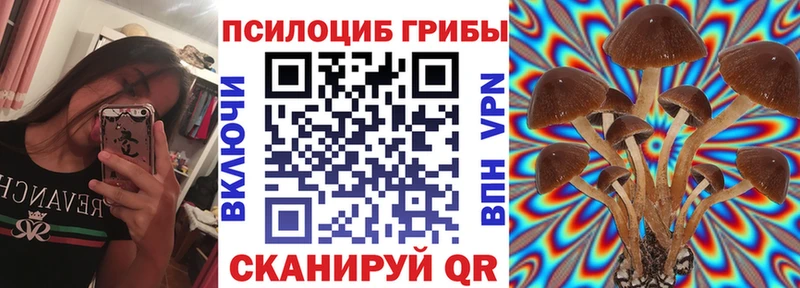 Галлюциногенные грибы GOLDEN TEACHER  Купить закладки  Нестеров 