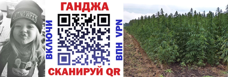 Марихуана конопля Нестеров